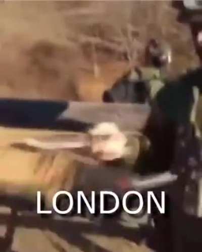It’s always sunny in London