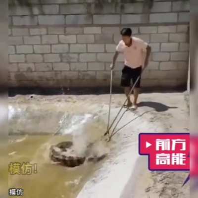 Play with alligator
