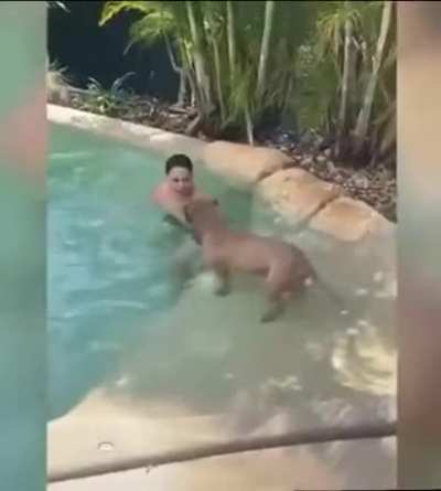 Dogs are funny!
