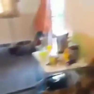 That’s a crazy bird