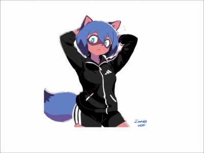 Top 5 cool racoons😎