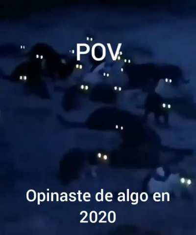 POV te van a funar