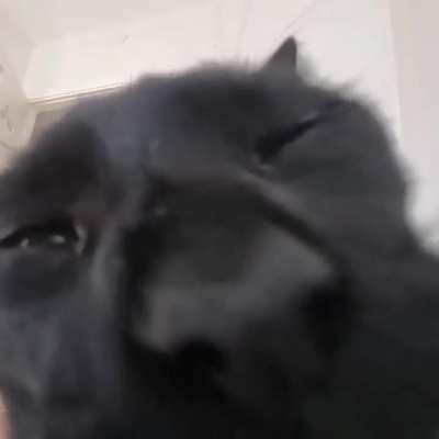 Real voic