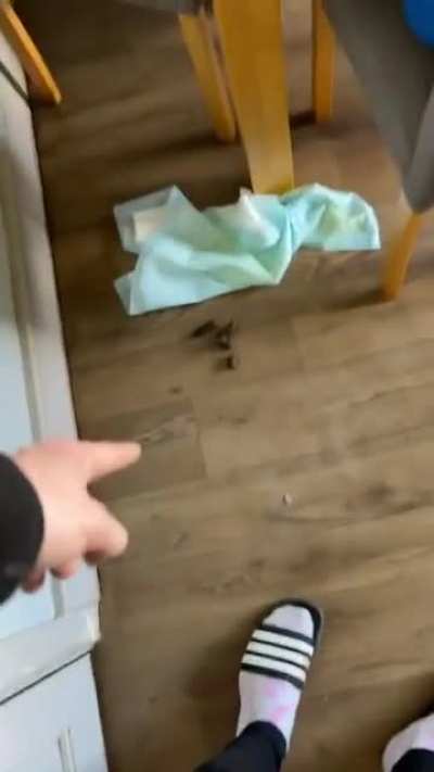 If I don't move, he won't see me