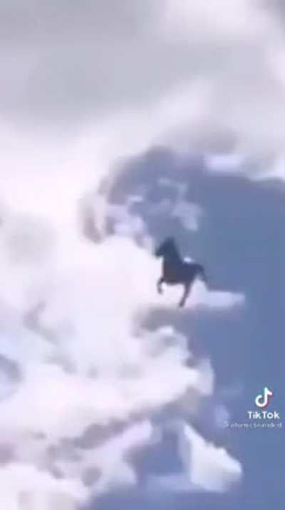 My horse people need me.