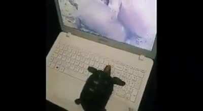Jorge?
