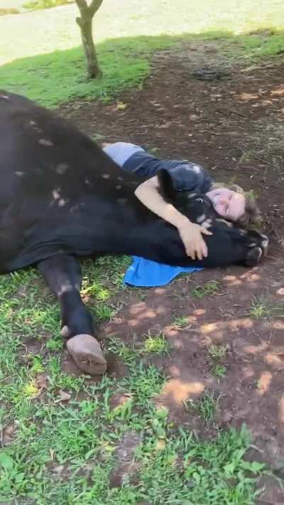 Laying down a towel and giving a hug