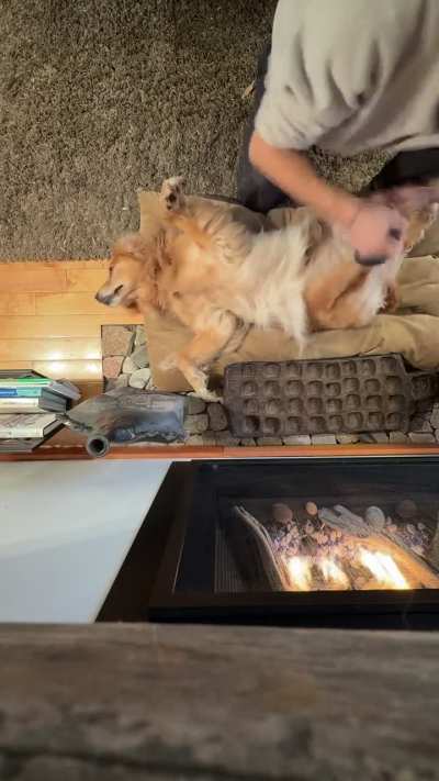 I think she enjoys being groomed