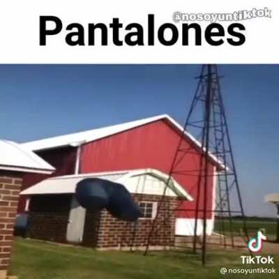 Dank