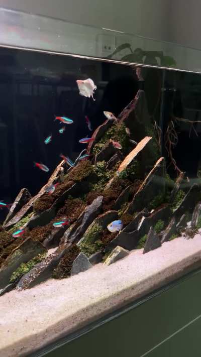 Aquariums