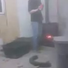 HMB while I throw this silicone spray into the oven...
