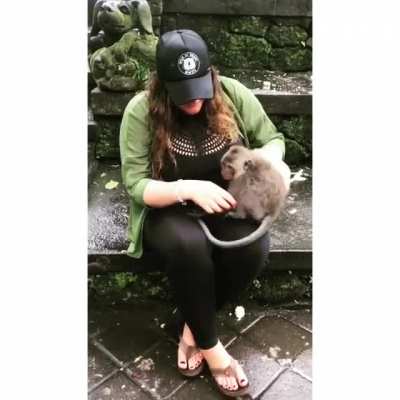 Lady chokes a monkey to pose for a photo and gets instantly attacked by its mother