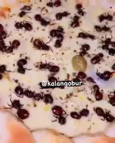 Here's a Brazilian 