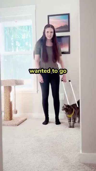 C@ for blind people