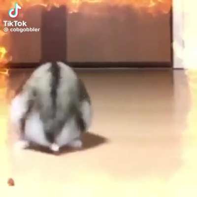 fackig Loser