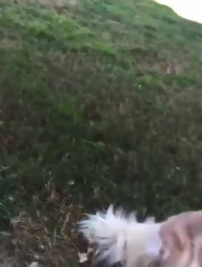 Is she a good girl still?