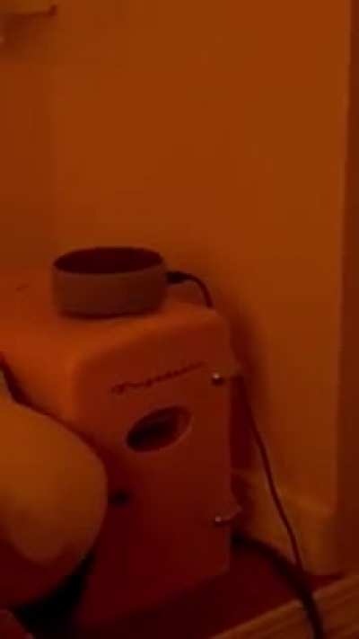 blursed_alexa