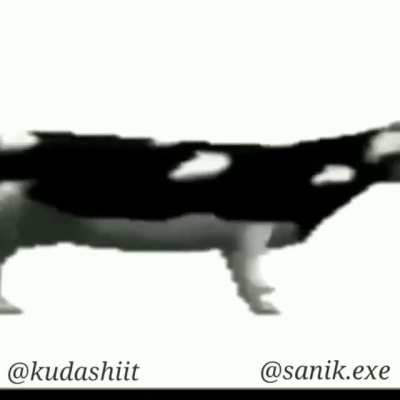 🐄