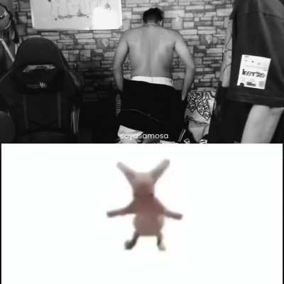 gay stream