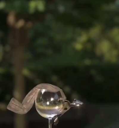 Hammer vs Wine glass