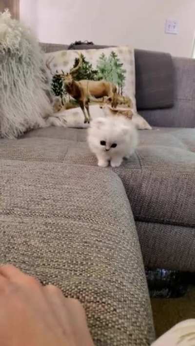 Smol attac cloud