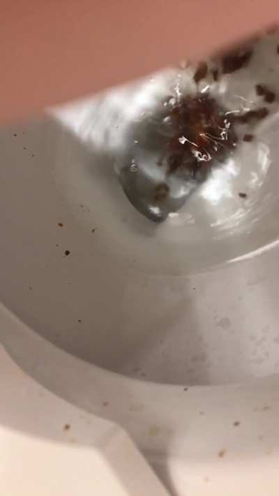 Woman wet fart