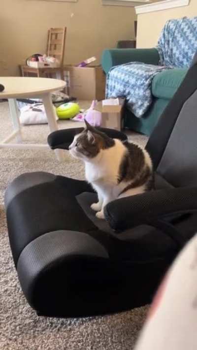 She loves watching cartoons