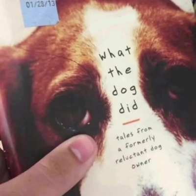 finally, what the dog did