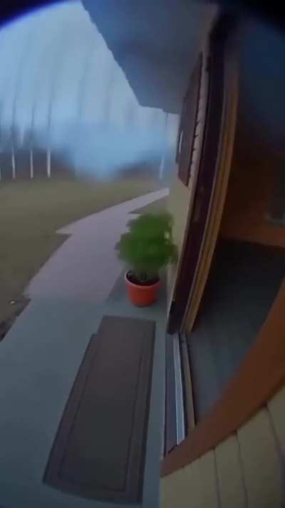 🫢 😮 😲 🫨 dog