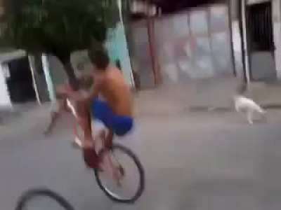 y volo