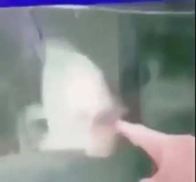 WÅÅÅÅÅÅÅ
