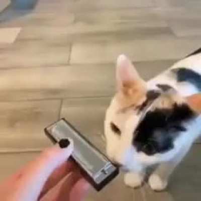 #
