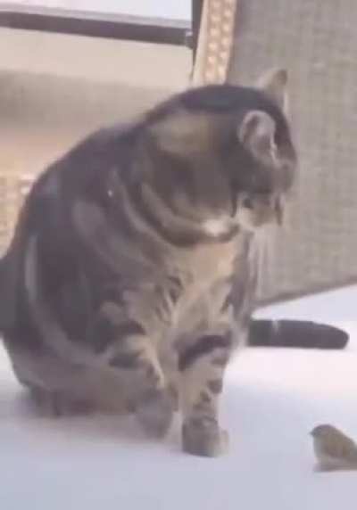 Its fragile !