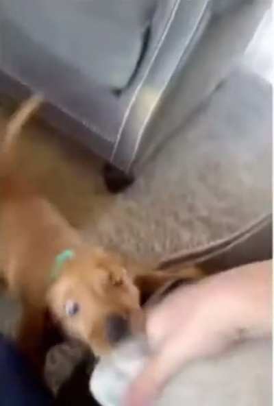 No!