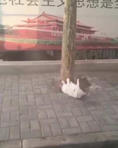 Скоро...отпуск