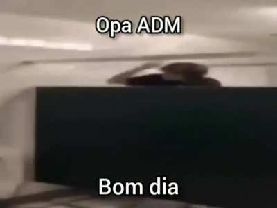 bom dia adm peepoHey