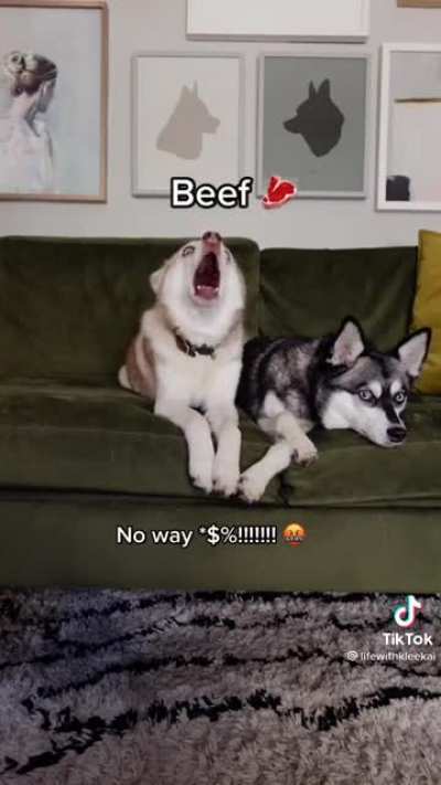 he went through all stages of grief