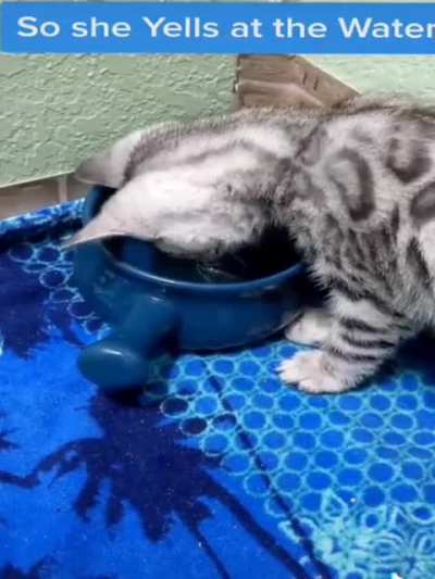 How Dare you even Exist Water!!