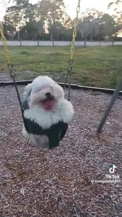 whimsy wunky