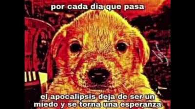 PUTOS GACHATUBERS