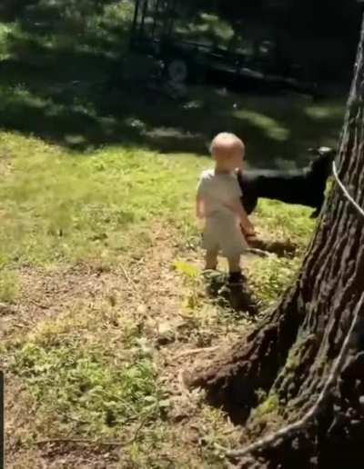 Good job! Now throw the other stick!