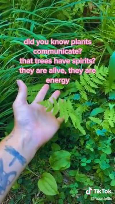 Reminder that plants can't run away or scream. Stop plant abuse today.