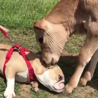 What’s “personal space”?