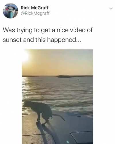 This must suck.
