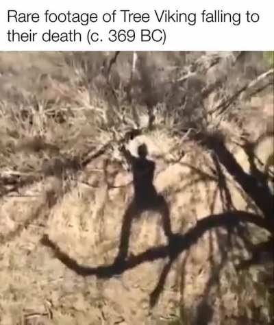 The fall