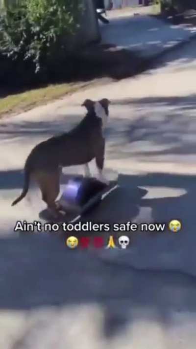 watch out kids