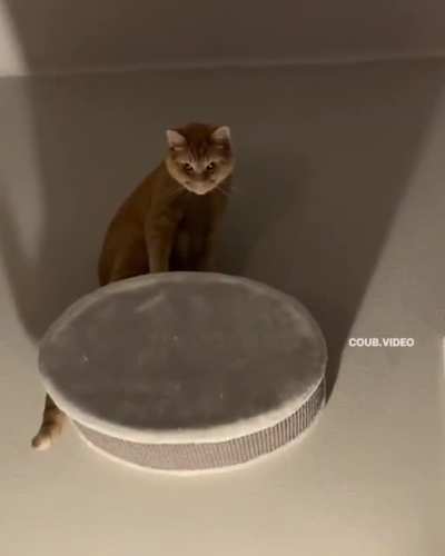 I am Batman