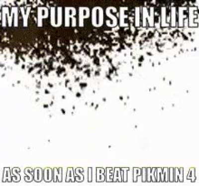 my biggest fear