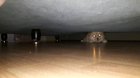 MesTRious MoNsteR UnDer BEd AGRessiVeLY AttaCKS To CamerA MaN