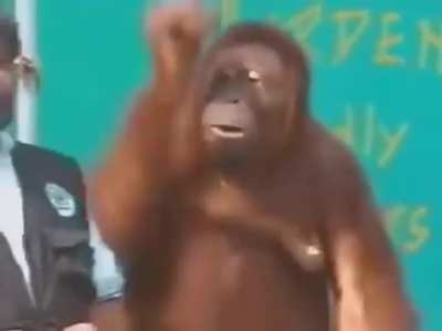 magic monke